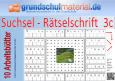 Suchsel-Rätselschrift_3c.pdf